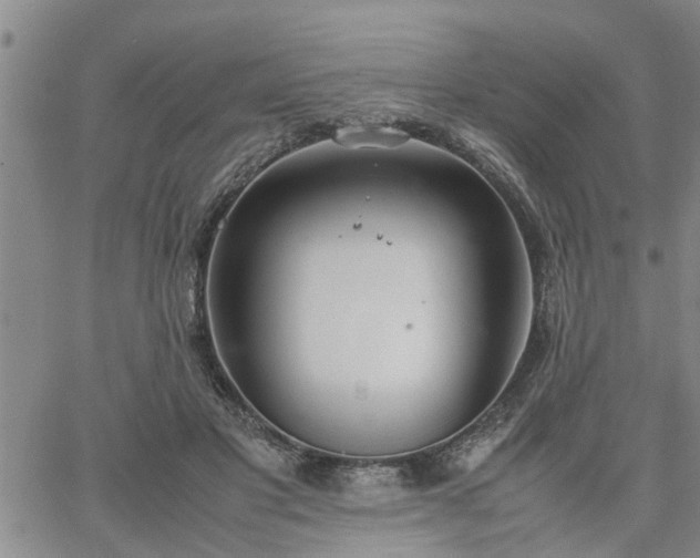 X0000064730501200602171645