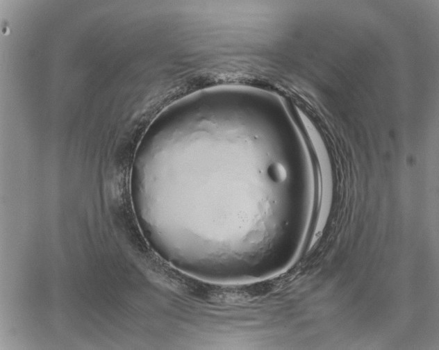 X0000064730503200602171645