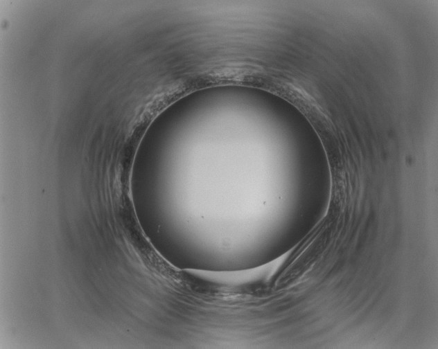 X0000064730504200602171645