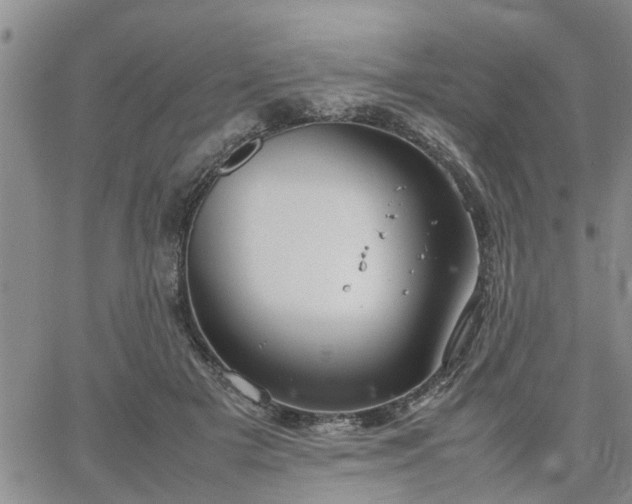 X0000064730505200602171645