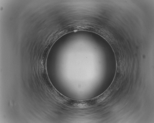 X0000064730506200602171645