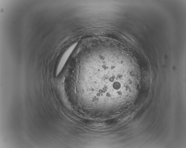 X0000064730507200602171645