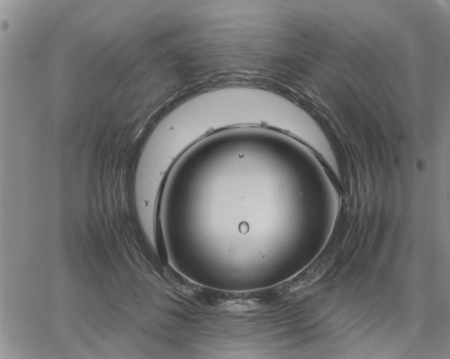 X0000064730508200602171645