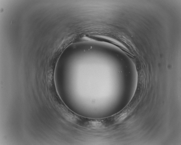 X0000064730509200602171645