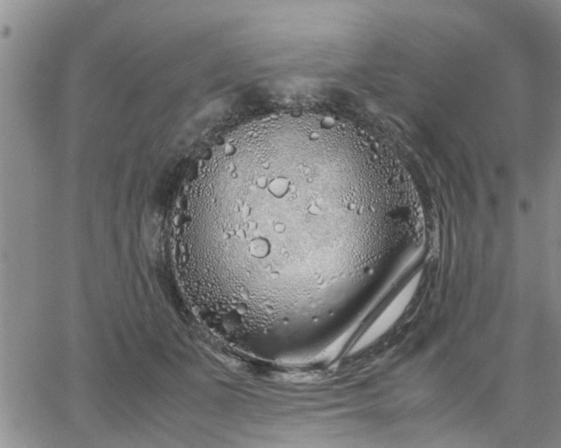 X0000064730511200602171645