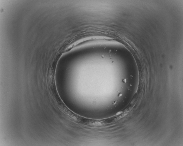 X0000064730513200602171645