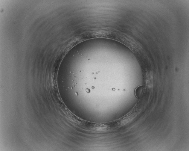 X0000064730514200602171645