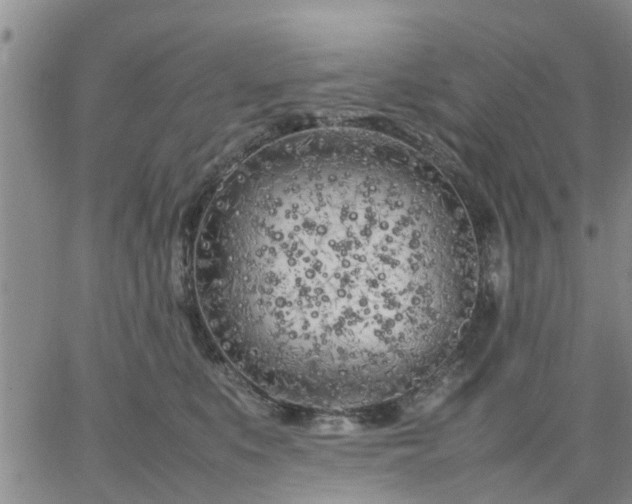 X0000064730519200602171645