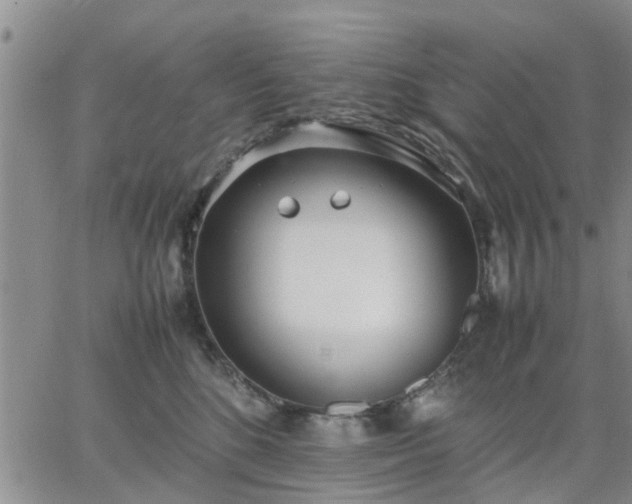 X0000064730520200602171645