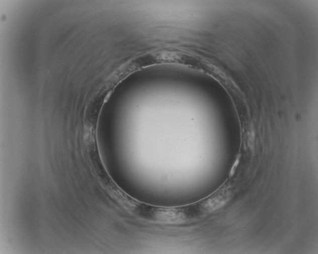 X0000064730521200602171645