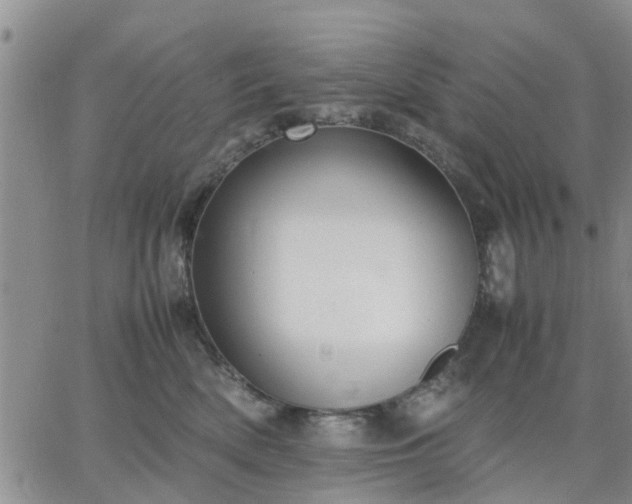 X0000064730522200602171645