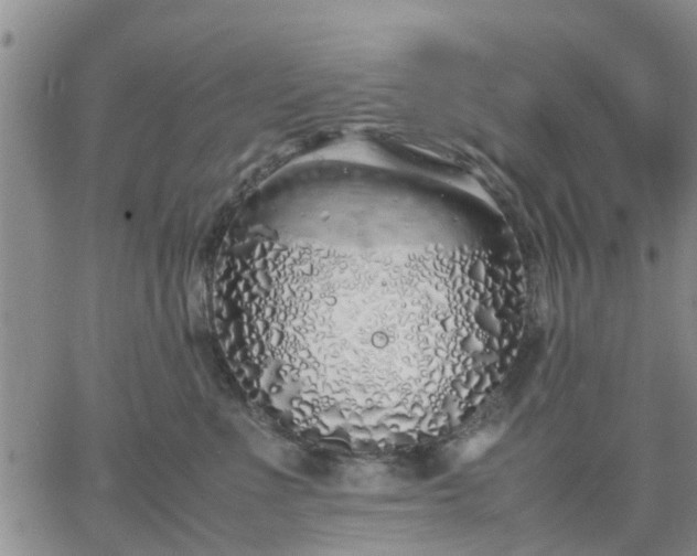 X0000064730523200602171645