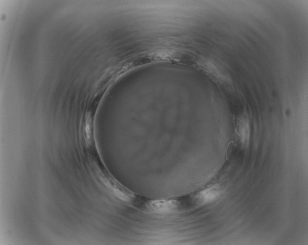 X0000064730526200602171645