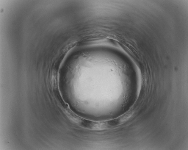 X0000064730527200602171645