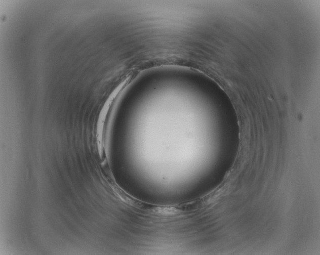 X0000064730528200602171645