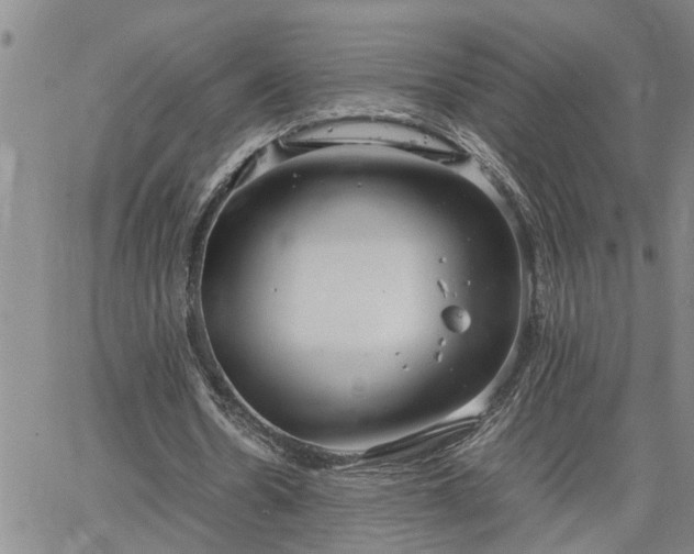 X0000064730530200602171644