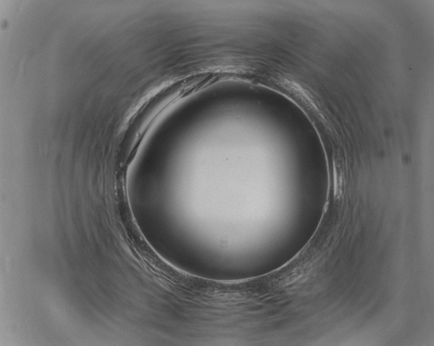 X0000064730531200602171644