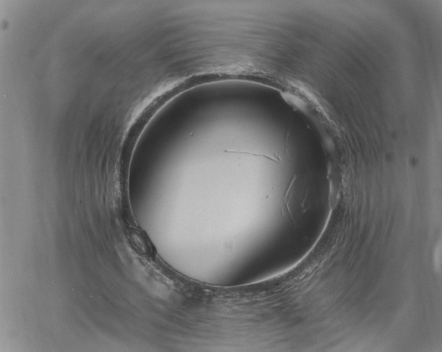 X0000064730532200602171644