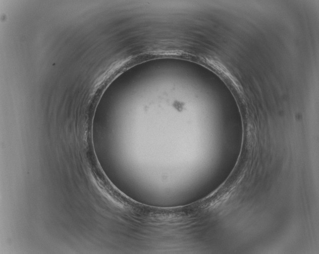 X0000064730533200602171644