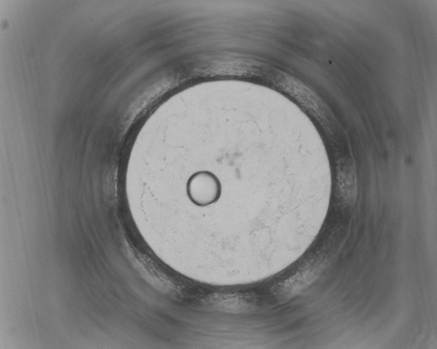 X0000064730534200602171644