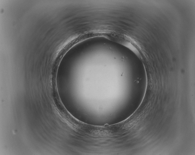 X0000064730535200602171644