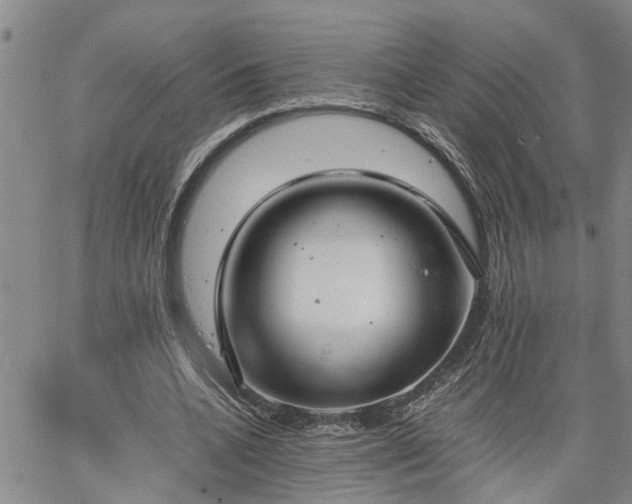 X0000064730536200602171644