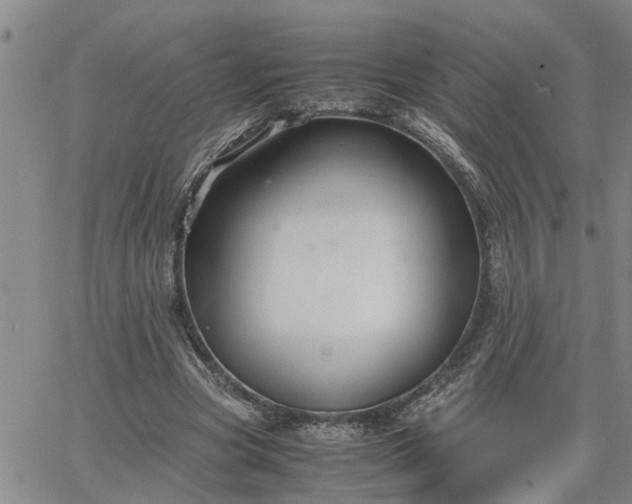 X0000064730537200602171644