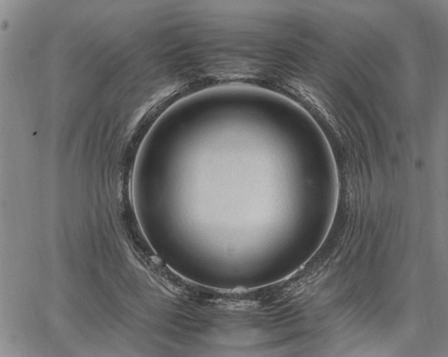 X0000064730539200602171644