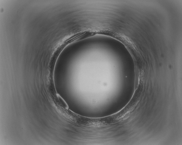 X0000064730540200602171644