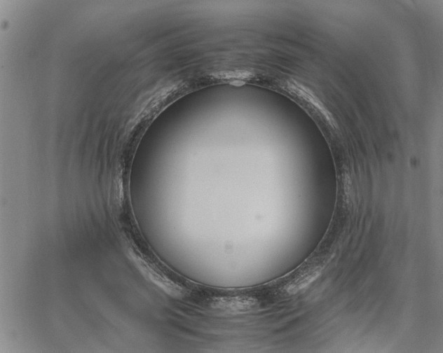 X0000064730541200602171644