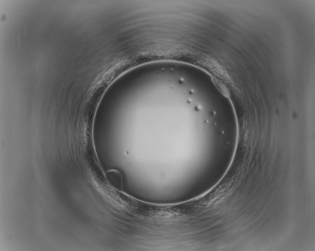 X0000064730542200602171644