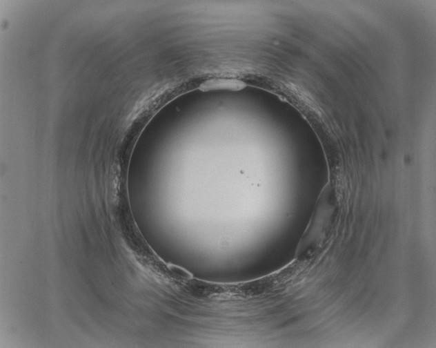 X0000064730544200602171644