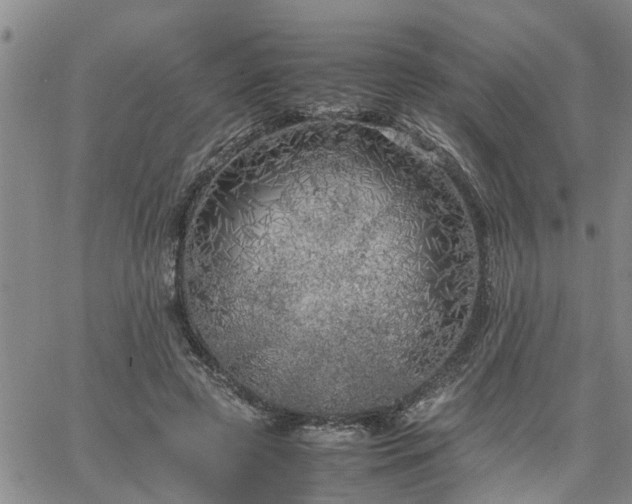 X0000064730545200602171644