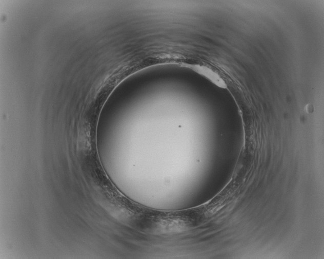 X0000064730547200602171644