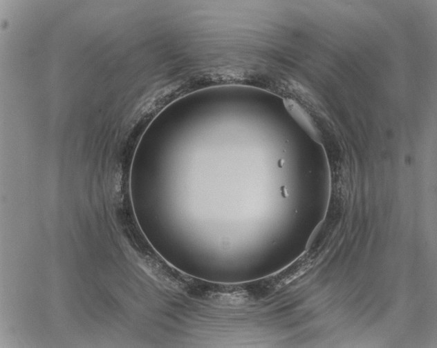 X0000064730548200602171644