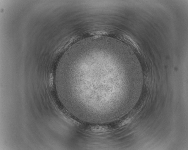 X0000064730549200602171644