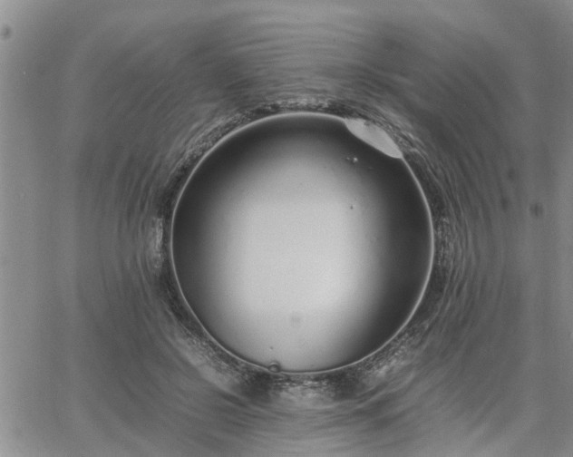 X0000064730550200602171644