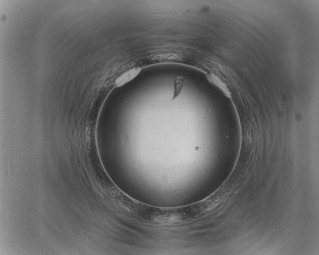 X0000064730551200602171644