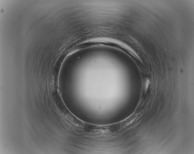 X0000064730552200602171644