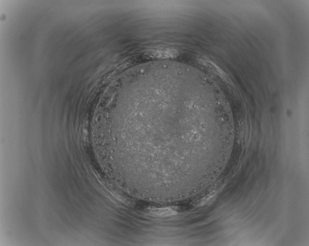 X0000064730553200602171644