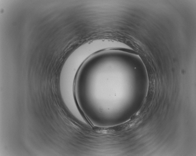 X0000064730558200602171644