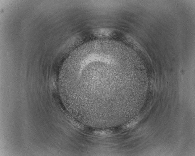 X0000064730561200602171644