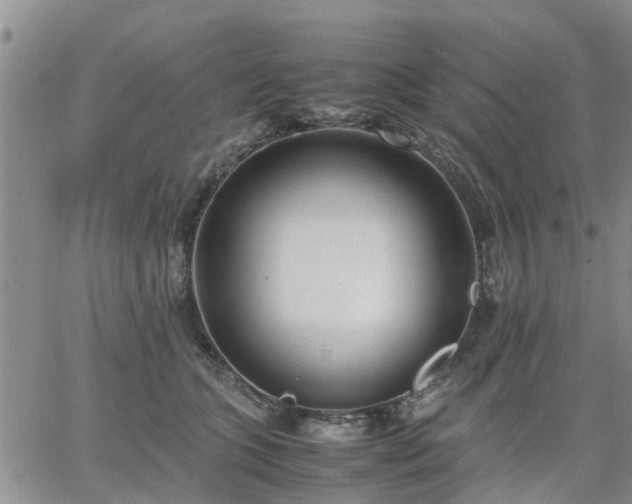 X0000064730563200602171644