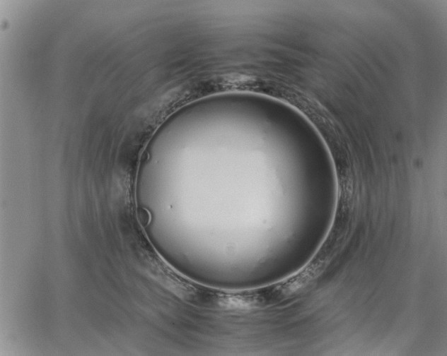 X0000064730565200602171644