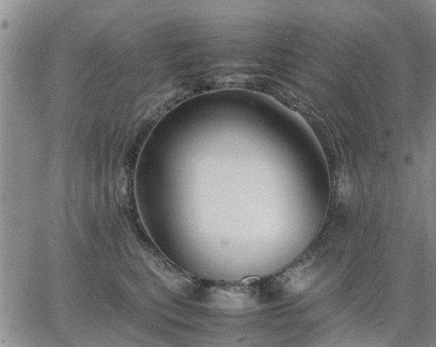 X0000064730567200602171644