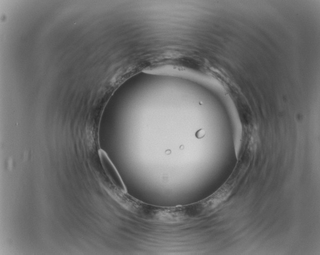 X0000064730568200602171644