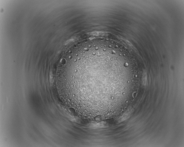 X0000064730569200602171644