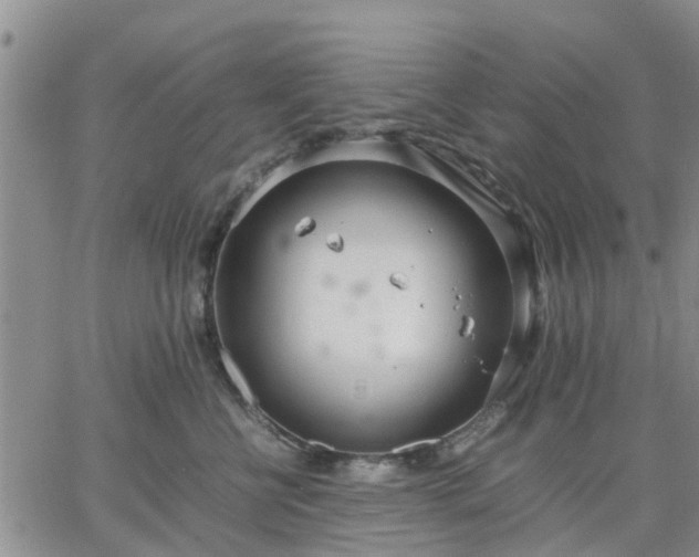 X0000064730570200602171644