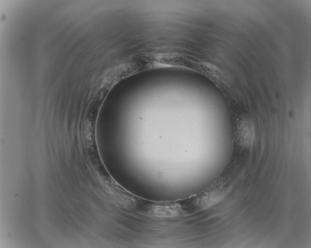 X0000064730571200602171644