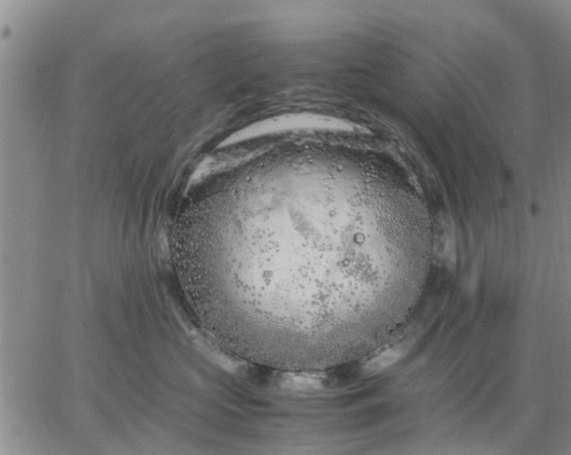 X0000064730573200602171645